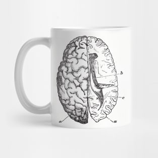 Brain anatomy Mug